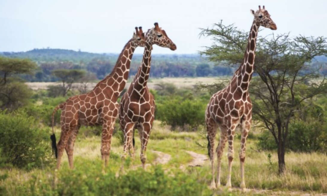 Best Personalized Travel Experience…