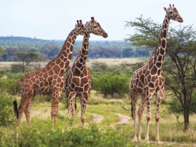 Best Personalized Travel Experience…