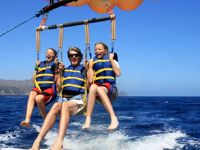 Are you looking for a travel advisor?