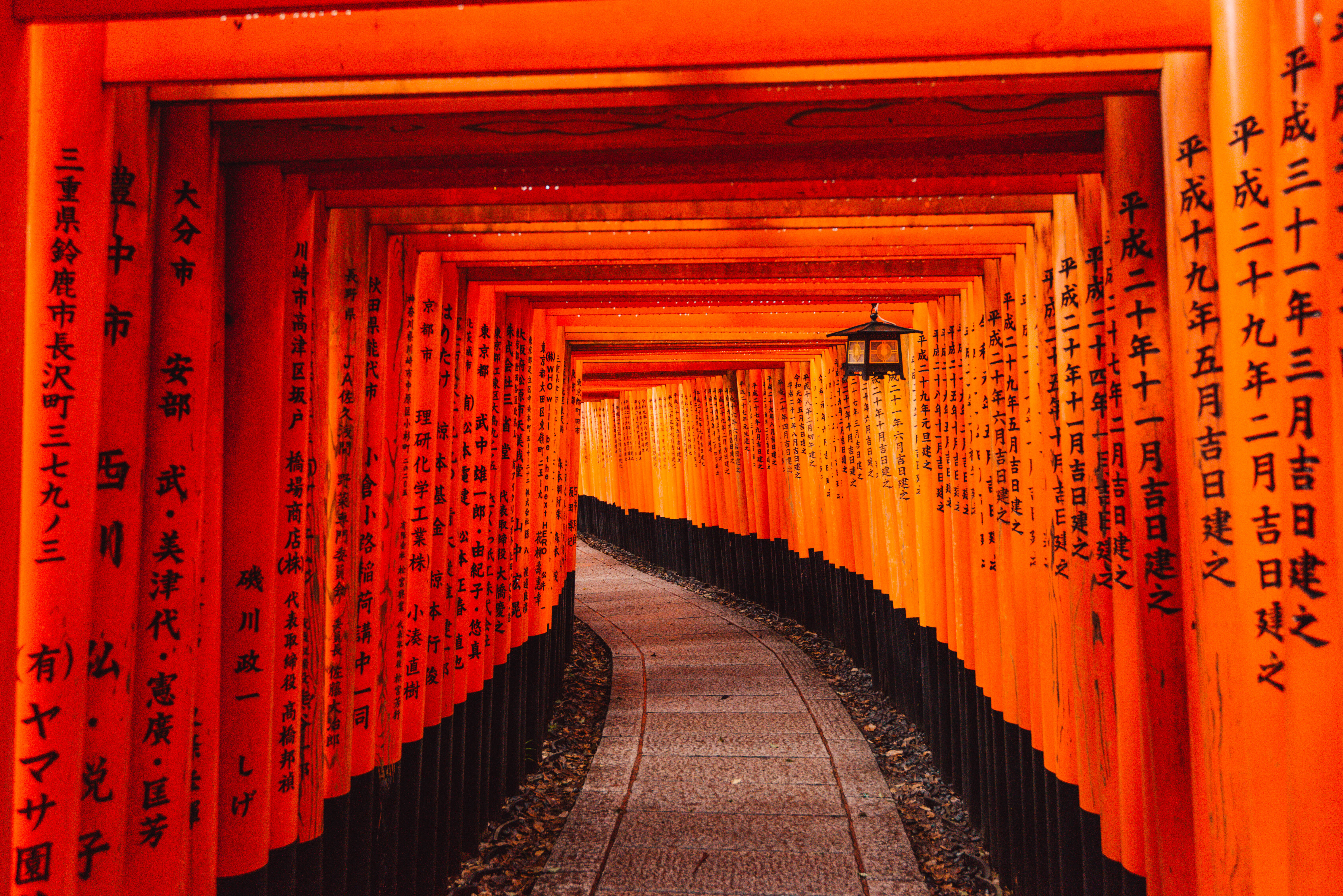 Travel Q&A with Dale!