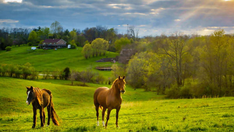 Save $200 per Couple on 2021 North or South America Vacations