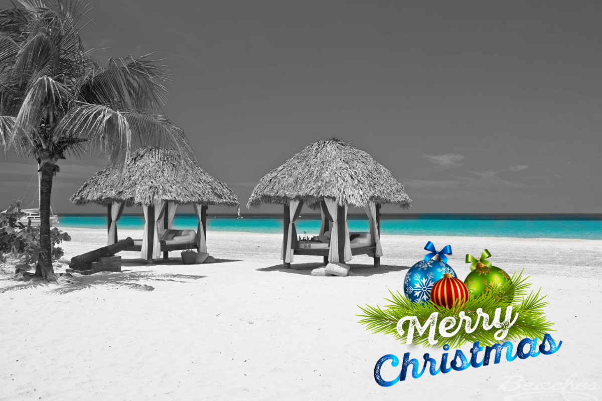 Untitled design (24).png