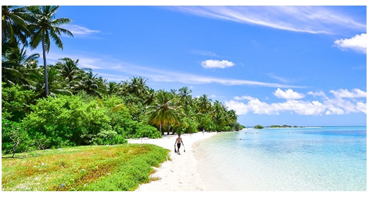 Beach Beach Photo Web Header.jpg