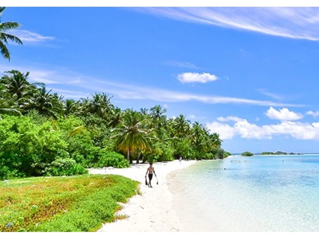 Beach Beach Photo Web Header.jpg