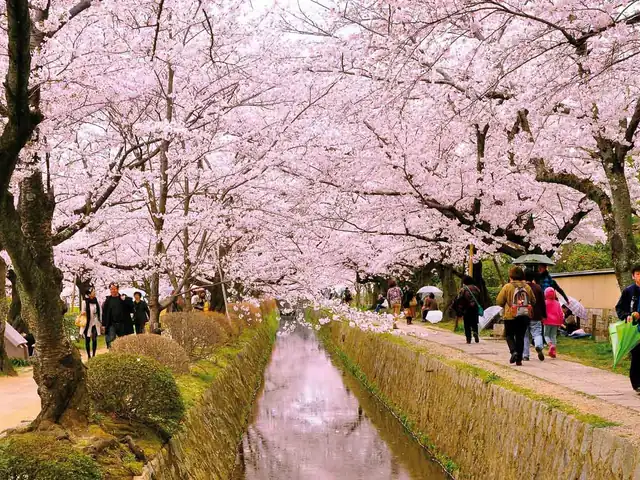 Iconic Japan in the Springtime - March 2022