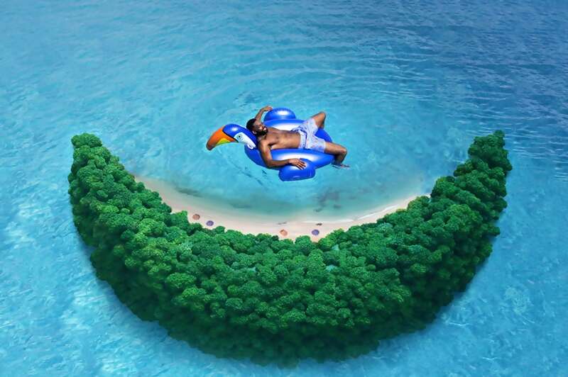 Carnival Cruises - Hello Fun. Hello SAVINGS!