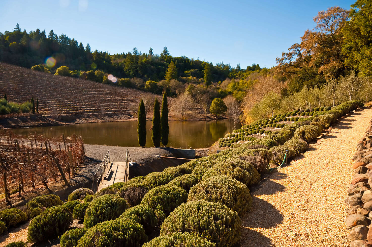 Sonoma