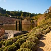 Sonoma