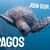 Galapagos Family Adventure