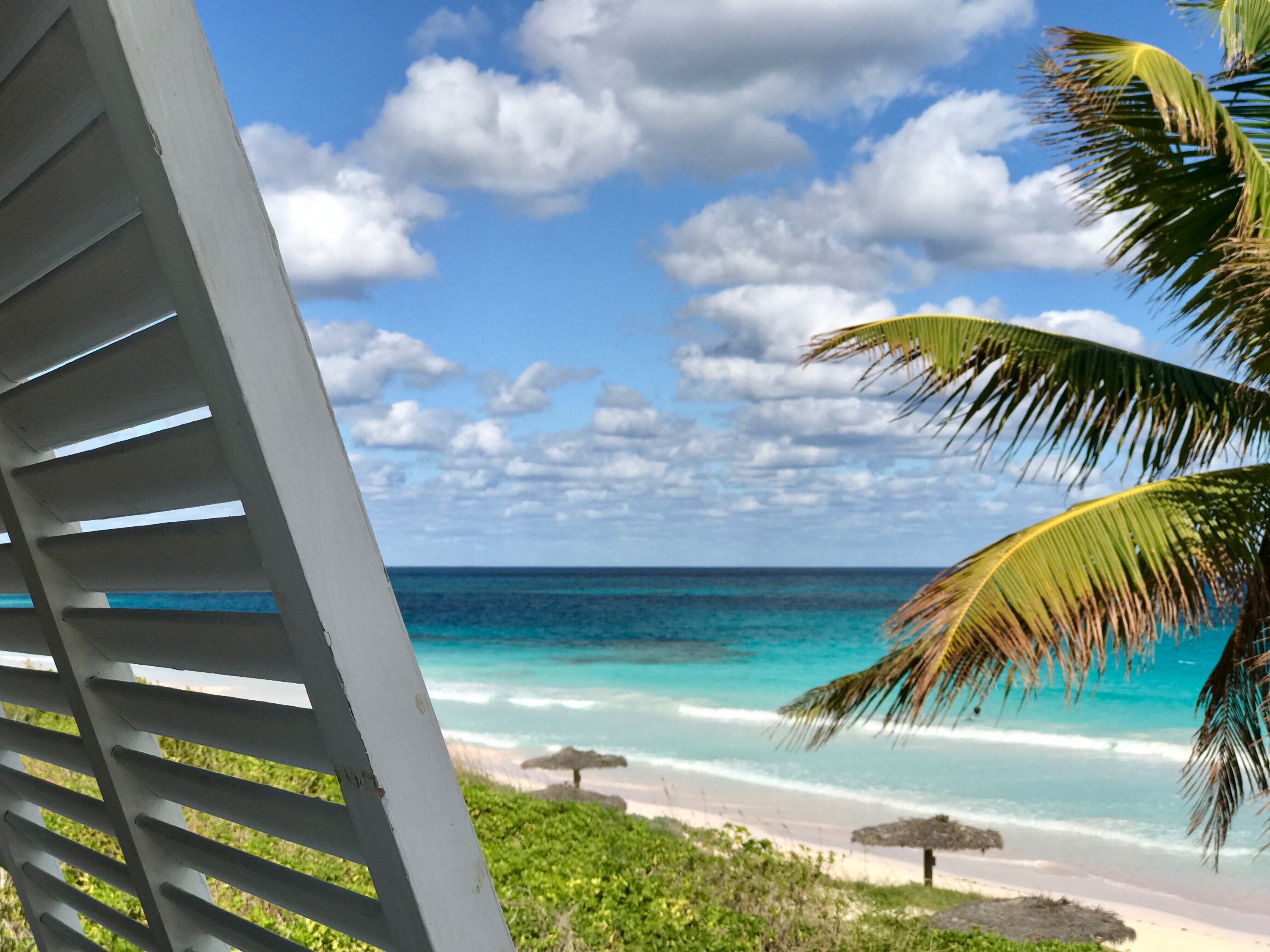 The Remote Life: Why work or school from home, when you can dial in from anywhere?