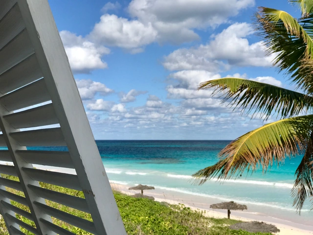 The Remote Life: Why work or school from home, when you can dial in from anywhere?