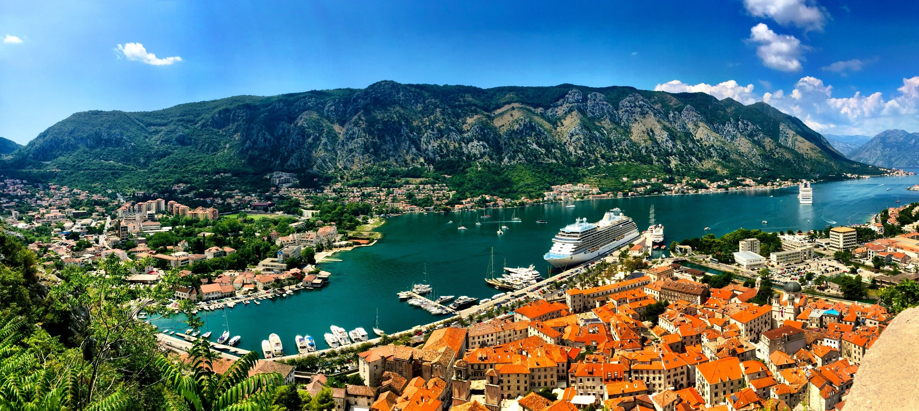 The Future of Cruising