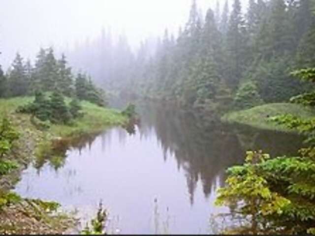Anticosti Island a Canadian Destination