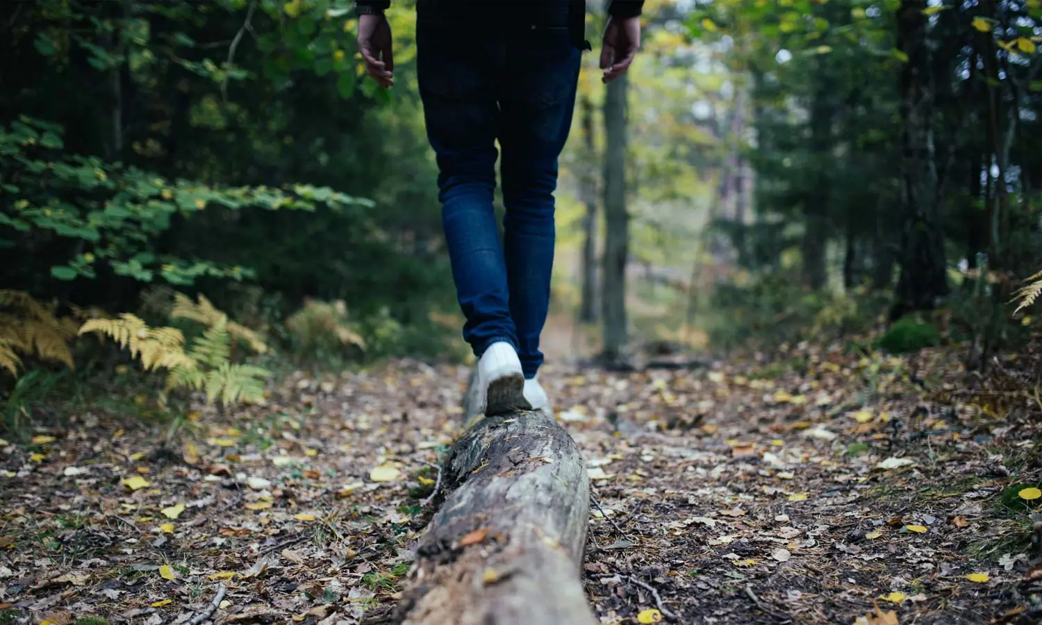 5 Countries Leading the Way in Sustainable Travel