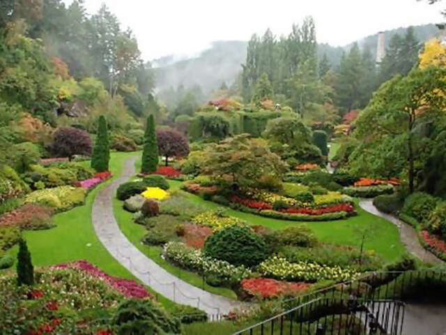 Gardens, High Tea And Victoria