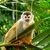 Costa Rica Adventure Tour - for Families