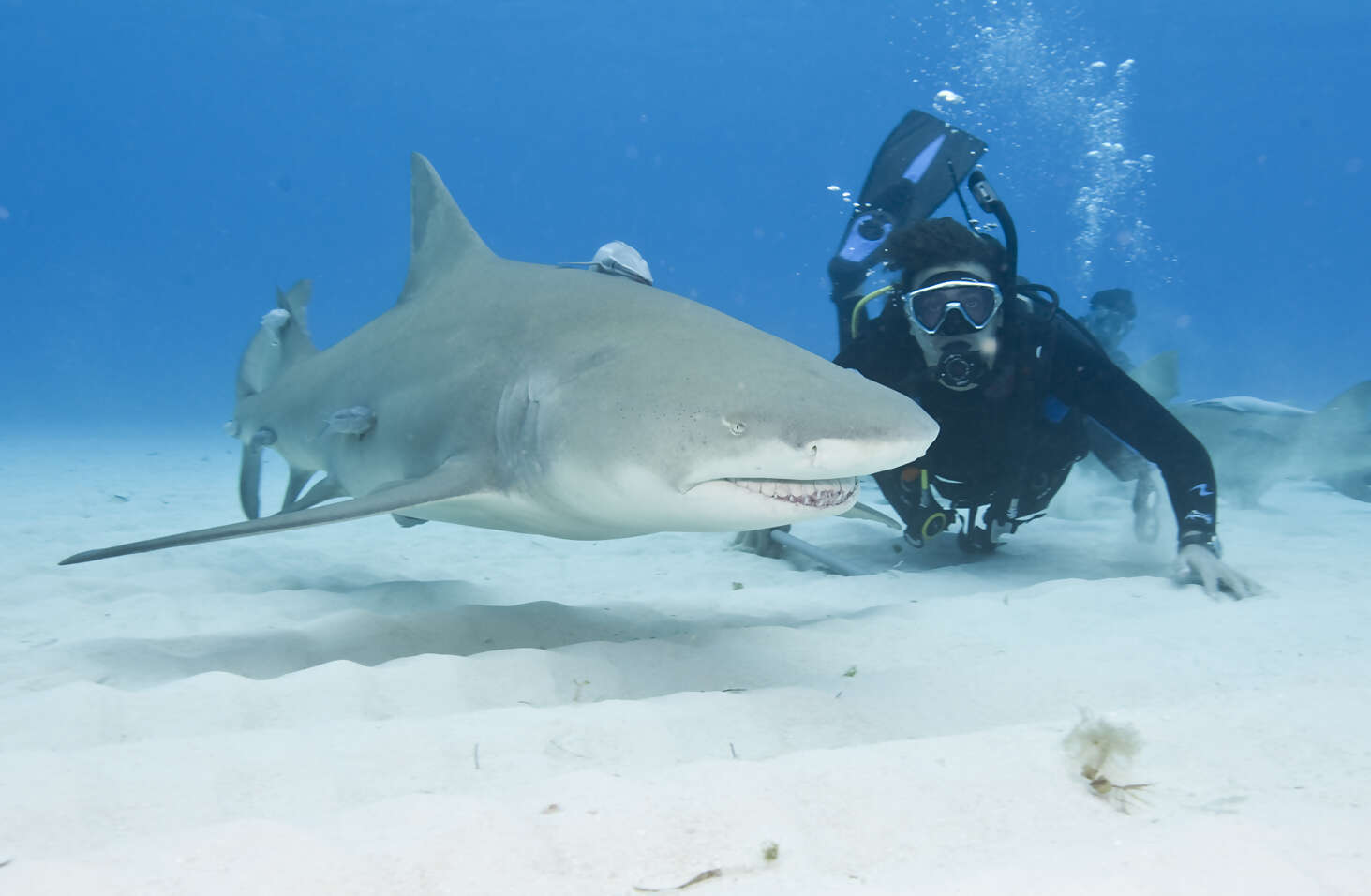 Why Purchase Travel Insurance?