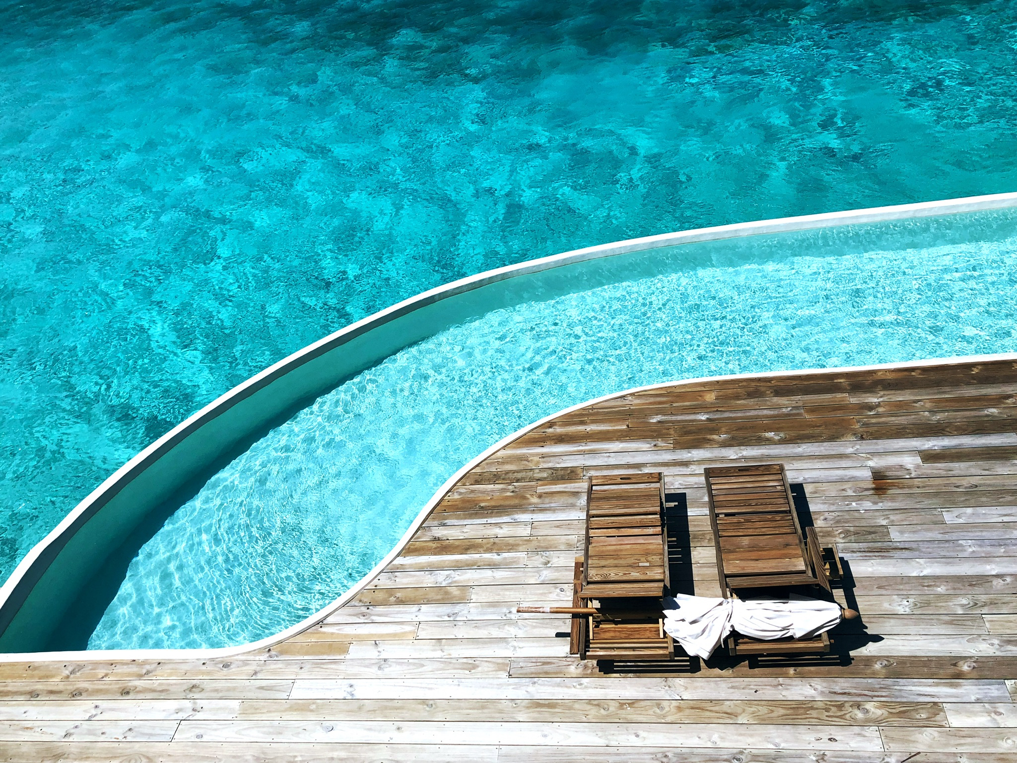 This Year's Best of the Best