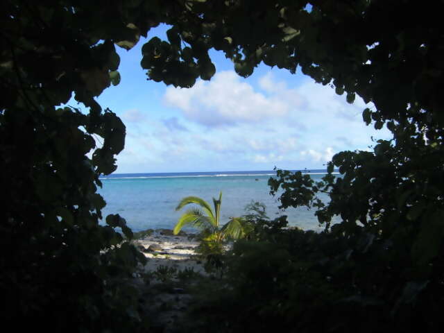 Guess where our next over the water Bungalow is?