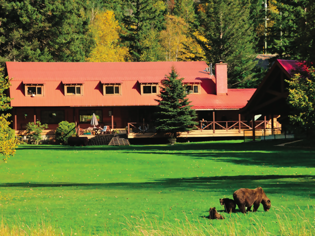 Tweedsmuir Park Lodge: A Luxurious Stay Awaits Adventure-Loving Guests on BC’s Central Coast