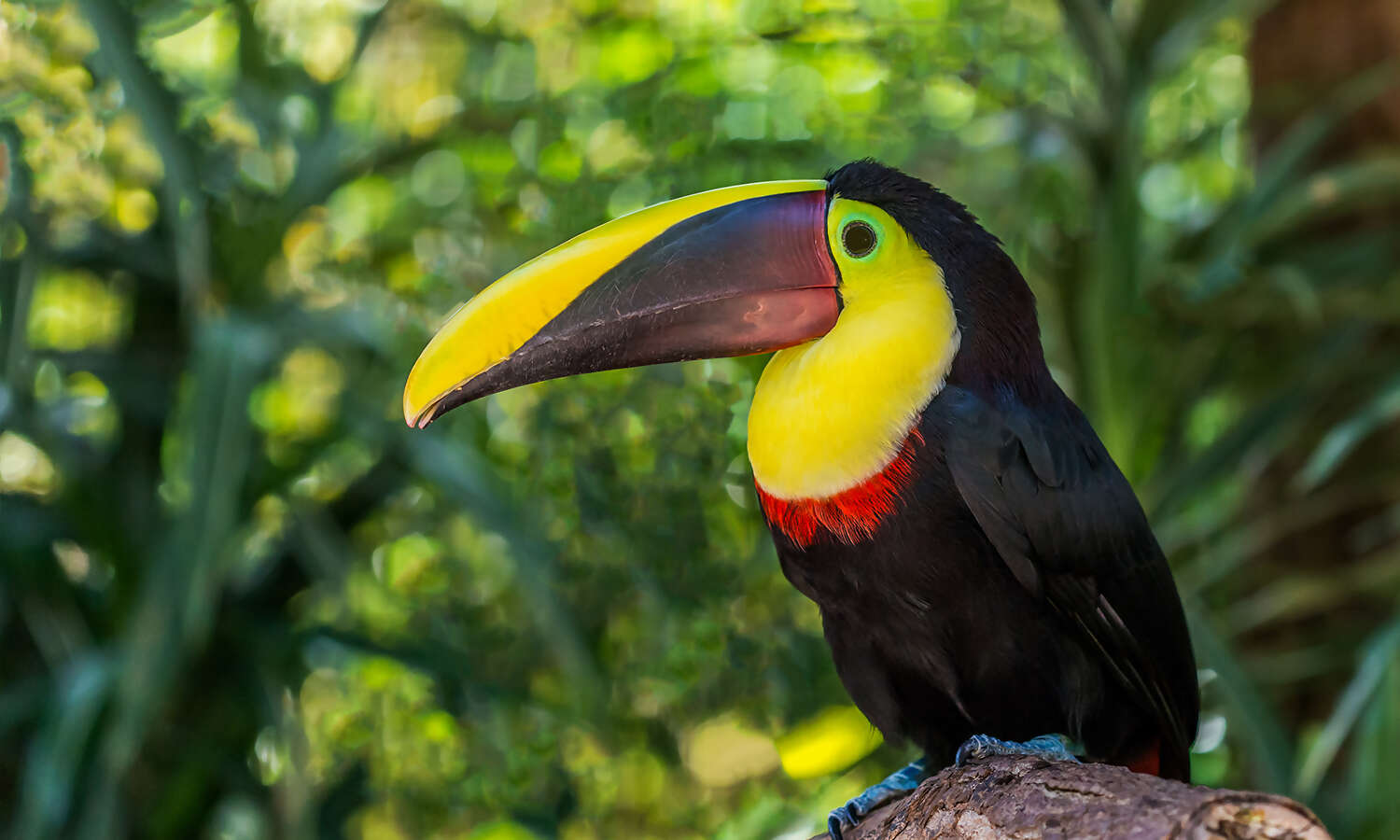 Exploring Arenal Volcano & Potrero Beach