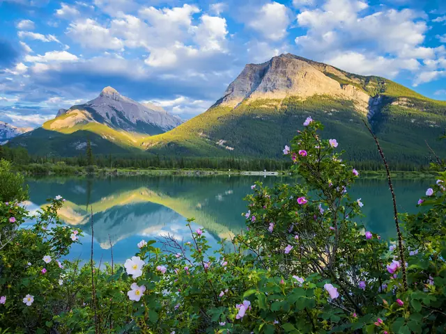 Summer Vacation in Alberta