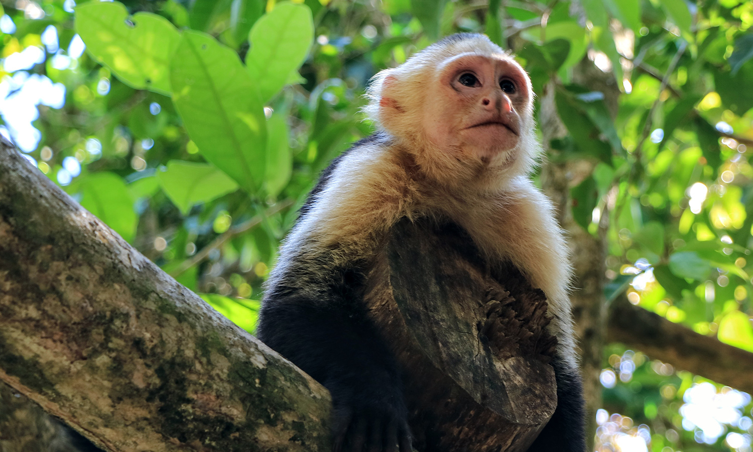 Costa Rica: Exploring Arenal Volcano & Potrero Beach