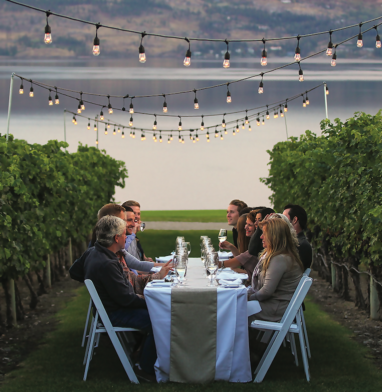 Food & Vine Pairings