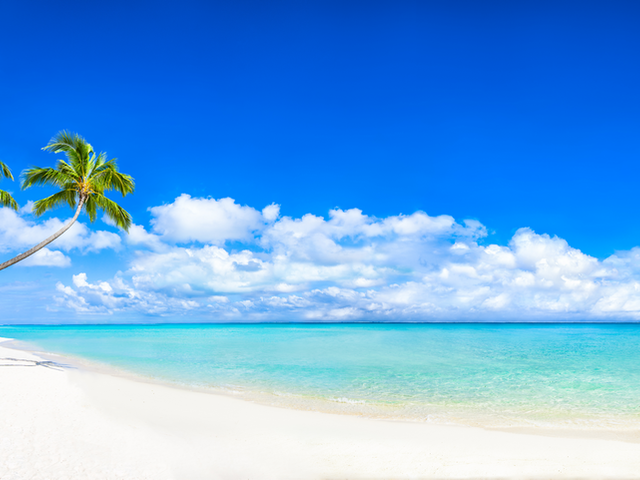 AdobeStock_269749730_tn1200.png