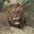 Southern Africa Safari - April 2023