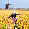 The Netherlands