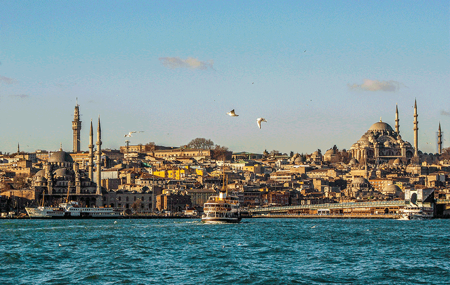 Turkey, Thailand Wellness.gif