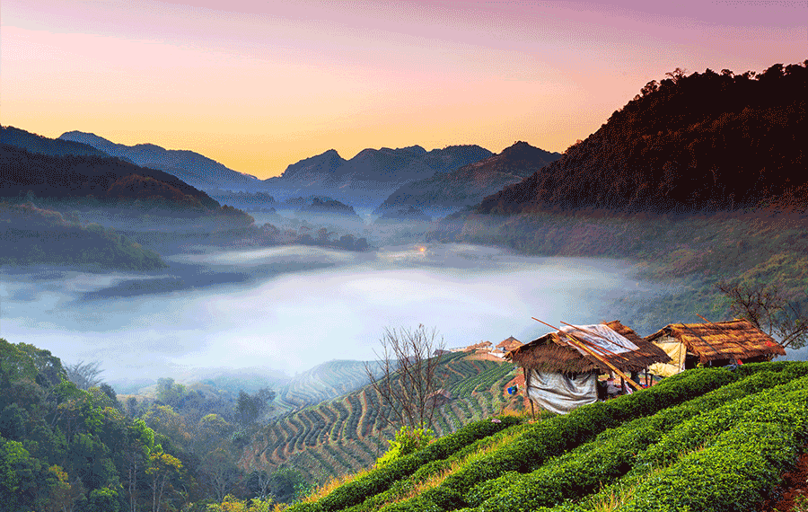 Chatime Mall Bali Galeria