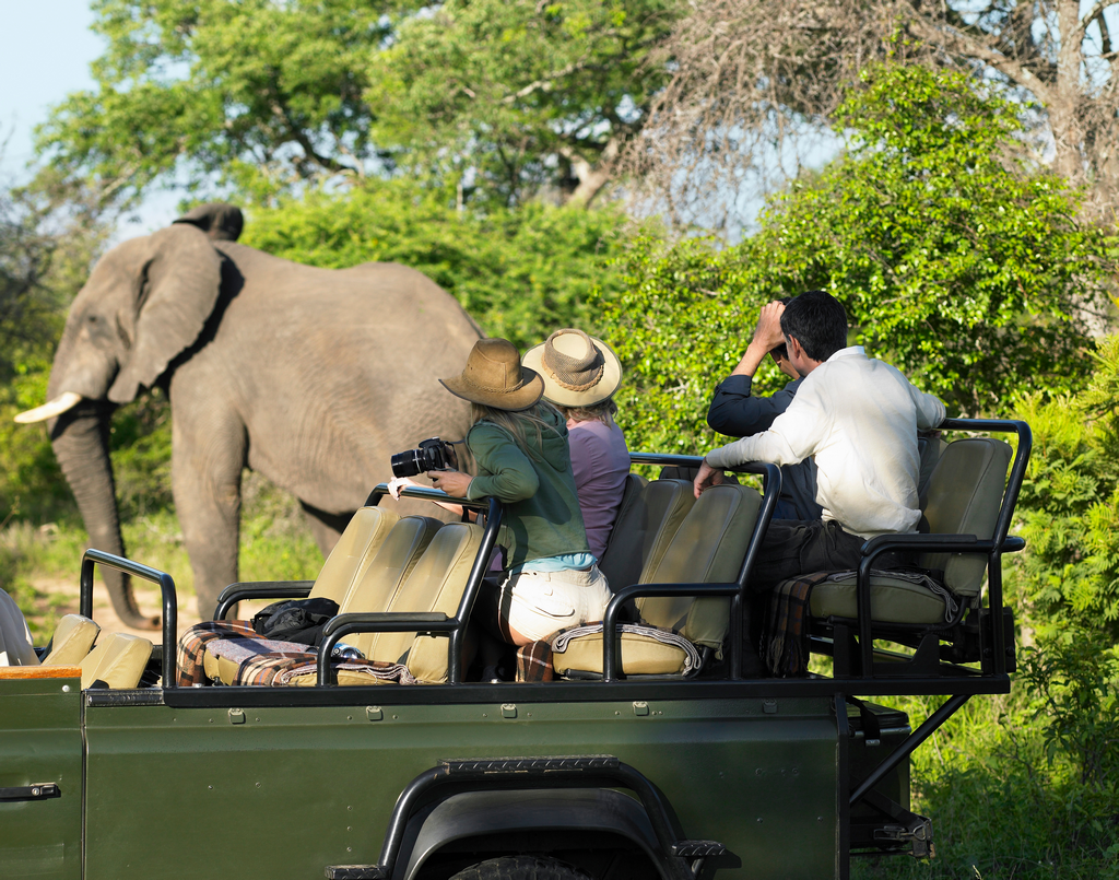 Guided Vacations