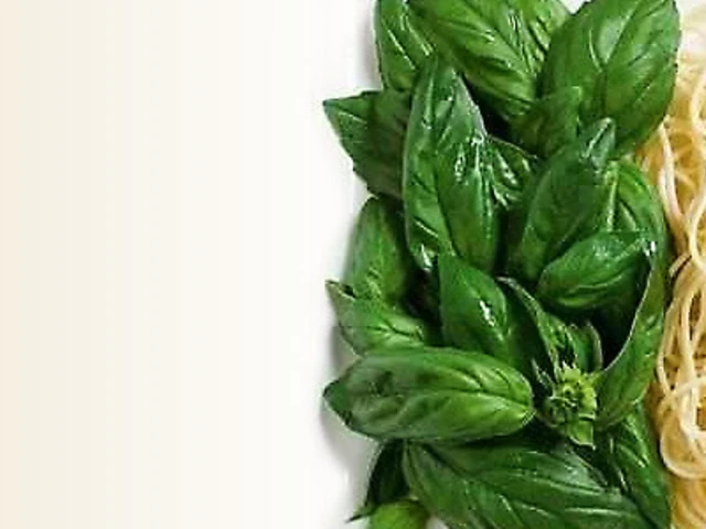 Specialty Owner Escorted Tours