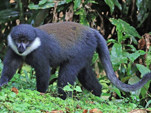 Exquisite Escapes: 5 Must-Go Places to Visit in Rwanda