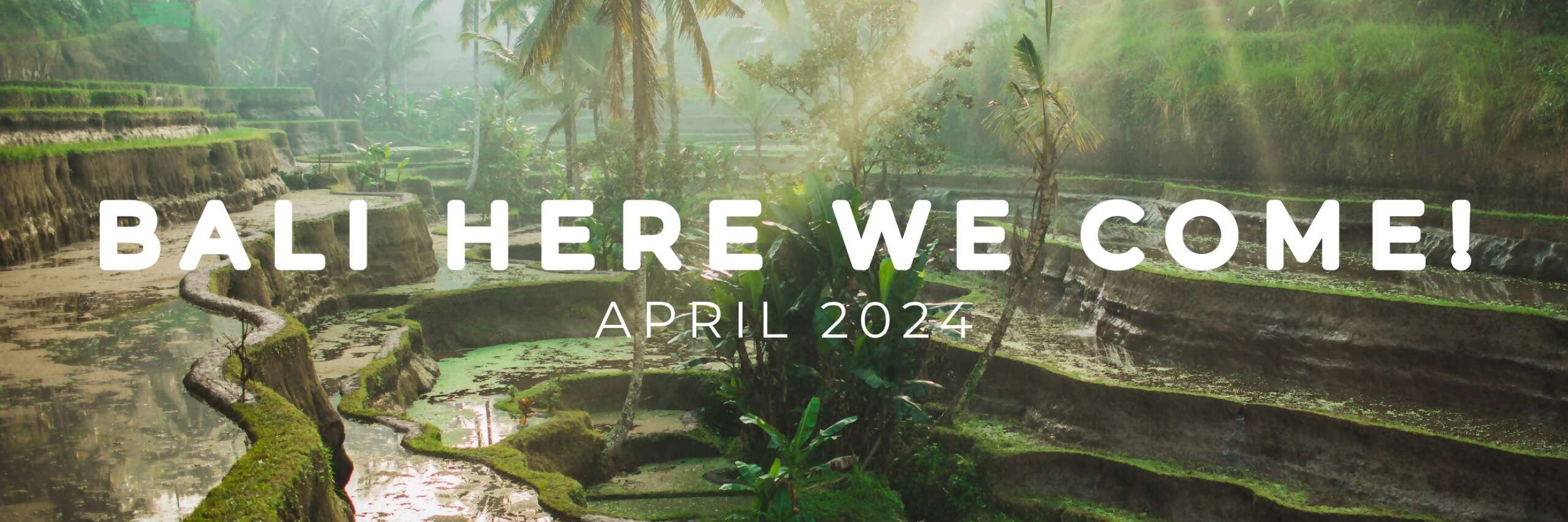 Bali Wellness -  20 April 2024