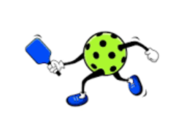 Love Pickleball - why not make sure to travel to a resort that has it available!