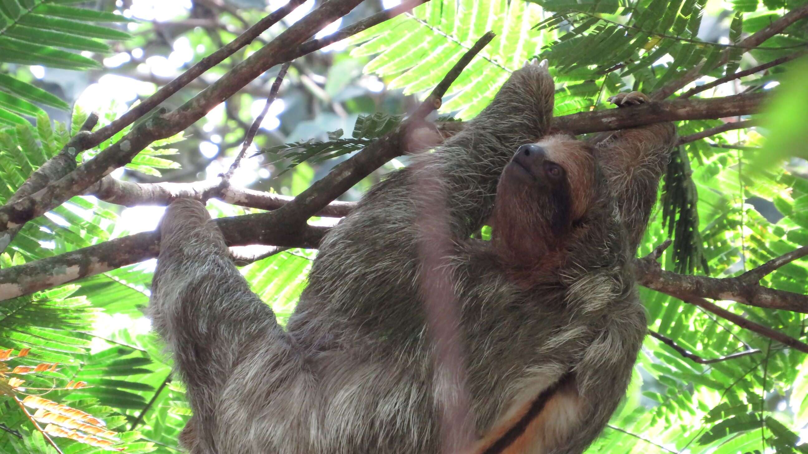 Thanks again for all your help in planning our trip of a lifetime!