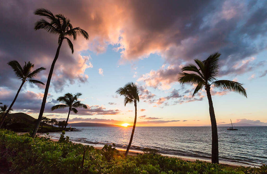 Resilient Remarkable Maui