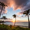 Resilient Remarkable Maui