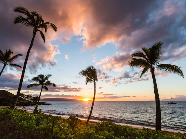Resilient Remarkable Maui