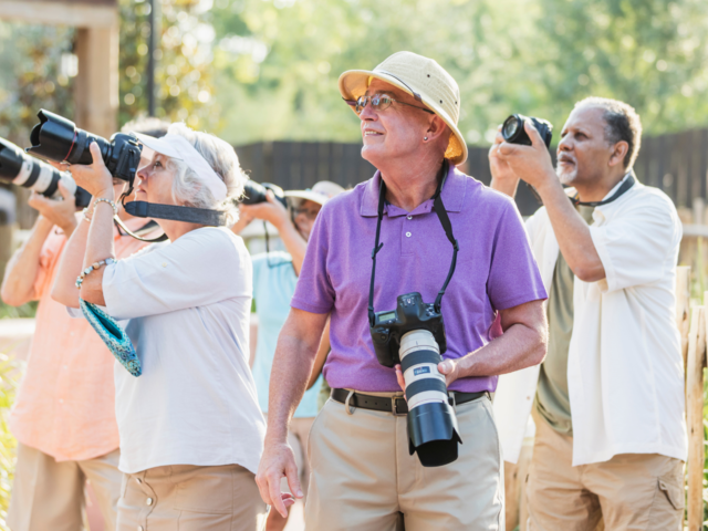 Senior Friendly Escorted Tours