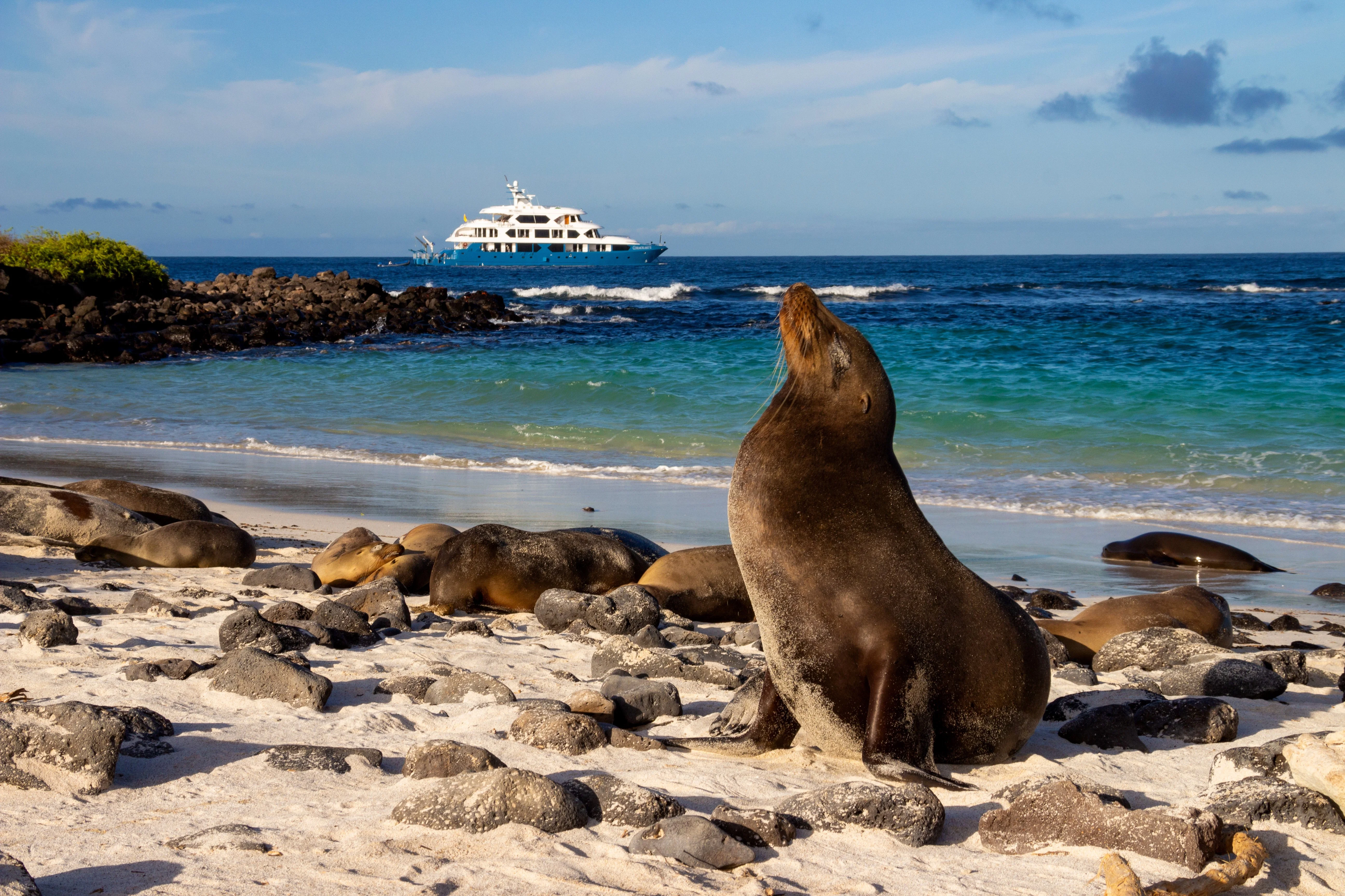 The Galapagos - By Sea
