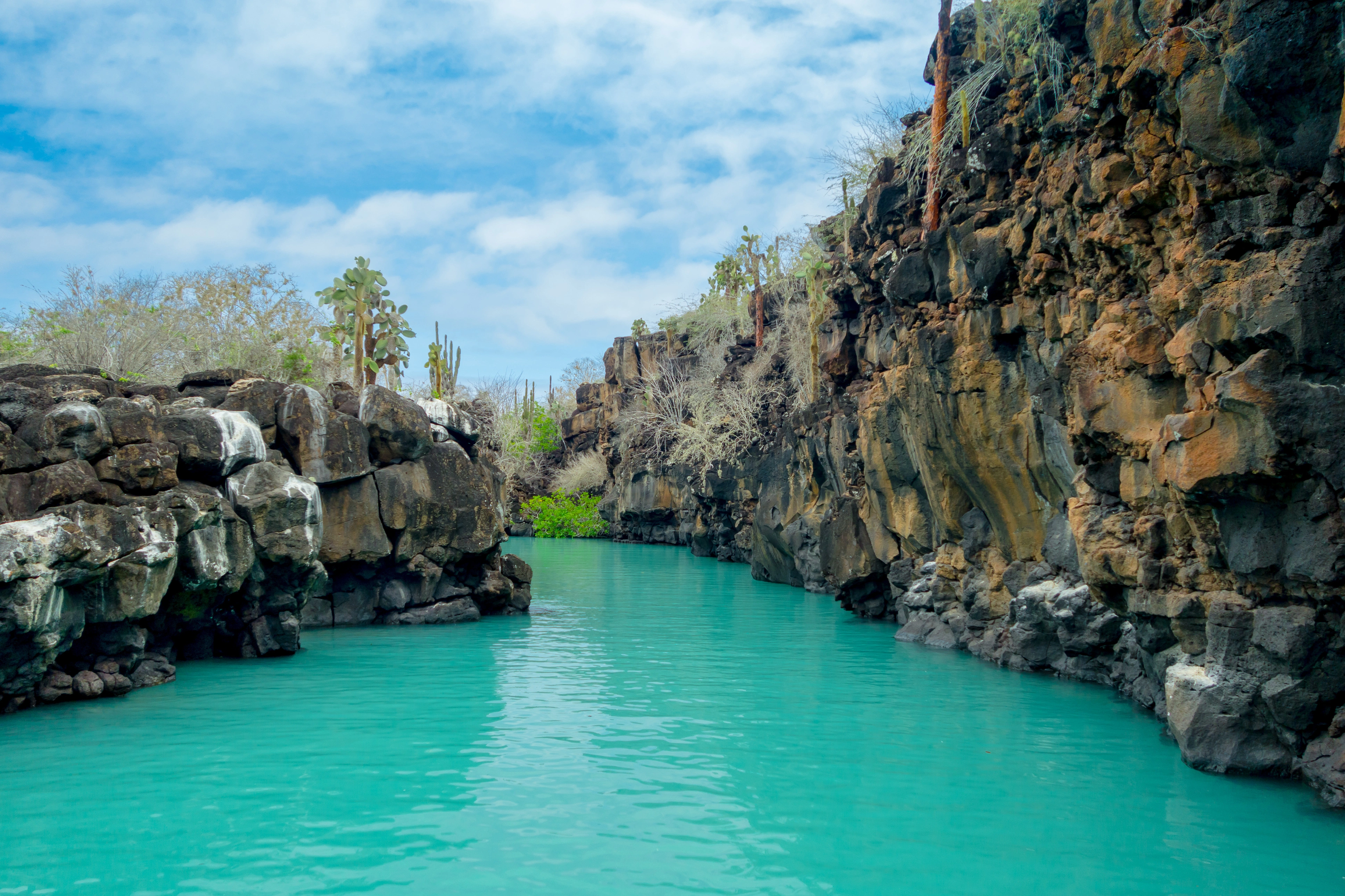 All About The Galapagos