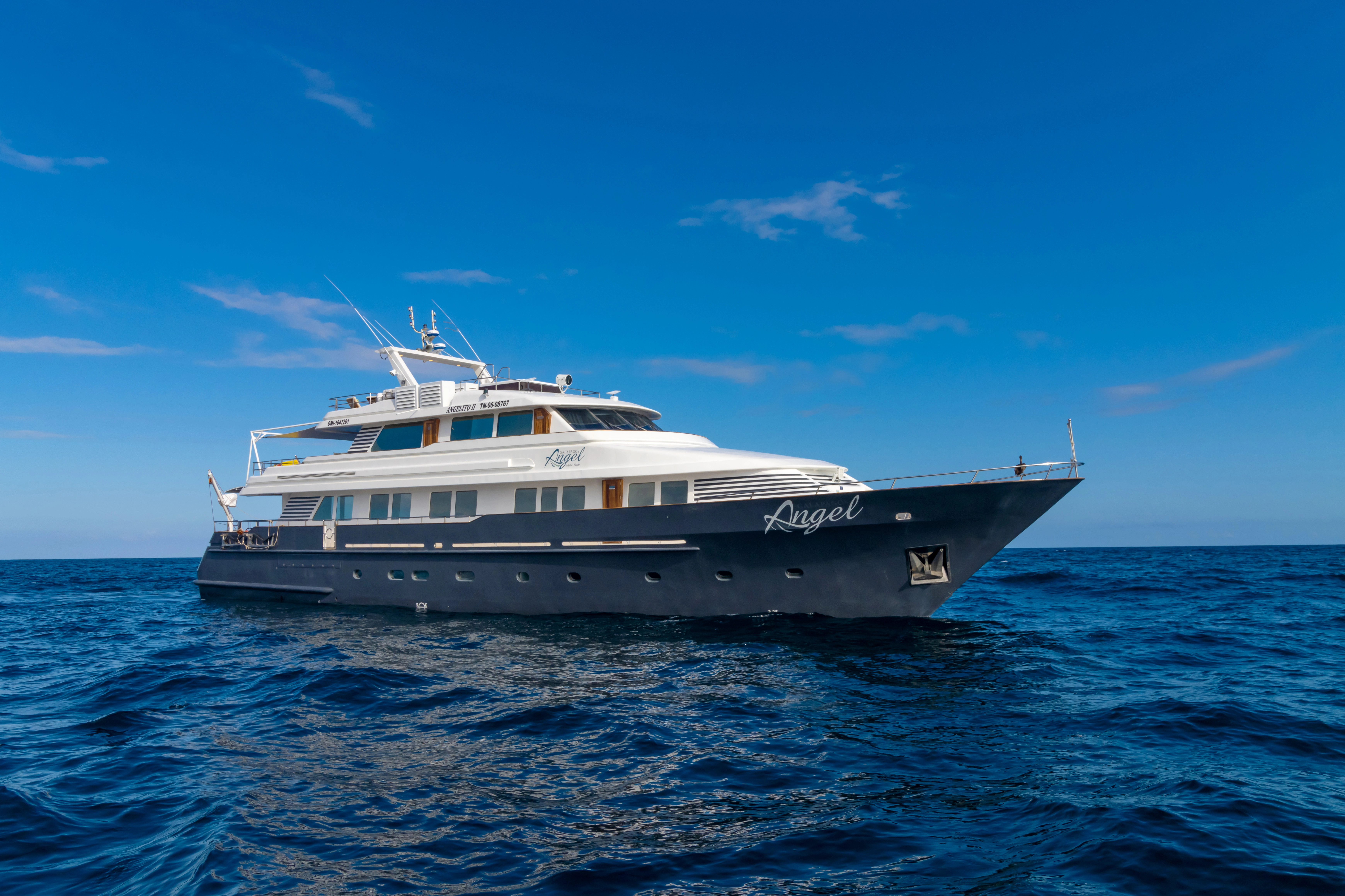 Galapagos Angel: Elegance Meets Adventure