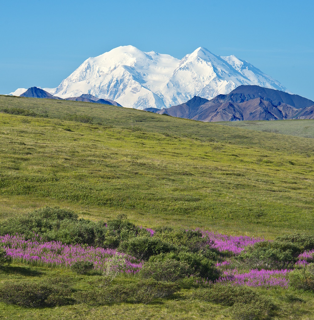 Holland America Line Announces $70M Multi-Year Expansion to Enhance Denali Lodge and Alaska Cruisetours, Building on Leadership in Wildlife Experiences