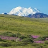 Holland America Line Announces $70M Multi-Year Expansion to Enhance Denali Lodge and Alaska Cruisetours, Building on Leadership in Wildlife Experiences