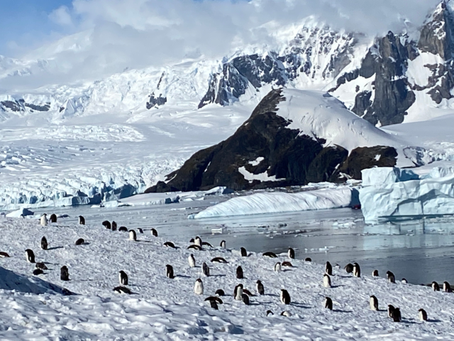 The Dream of travelling to Antarctica