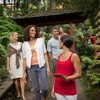 Globus & Cosmos Unveil New Tours Through Japan, India & Thailand